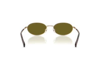 Bagside Emporio Armani EA2175 (3002/2)