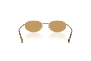 Bagside Emporio Armani EA2175 (300273)