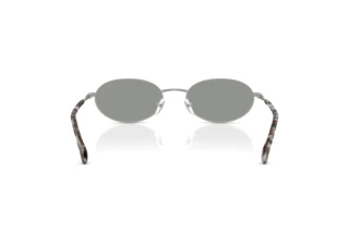 Bagside Emporio Armani EA2175 (3015/1)