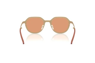 Bagside Emporio Armani EA2176 (3002/7)