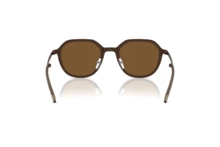 Bagside Emporio Armani EA2176 (300693)
