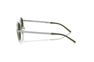 Sidevisning Emporio Armani EA2176 (301571)