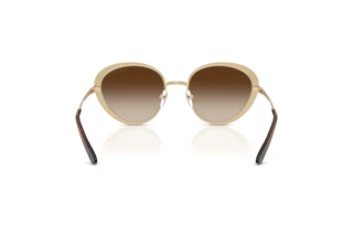 Bagside Emporio Armani EA2177 (344113)