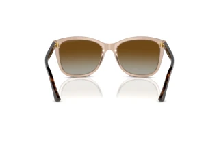 Bagside Emporio Armani EA4060 (5850T5)