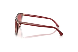 Sidevisning Emporio Armani EA4060 (6377A5)