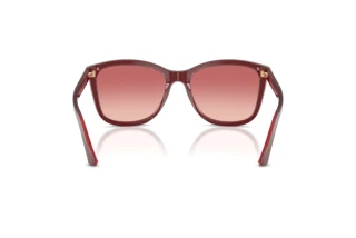 Bagside Emporio Armani EA4060 (6377A5)