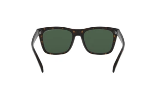 Bagside Emporio Armani EA4142 (508971)