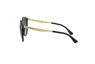 Sidevisning Emporio Armani EA4148 (500187)