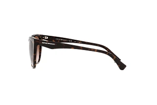 Sidevisning Emporio Armani EA4162 (587913)