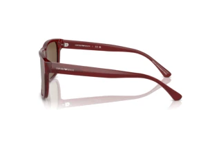 Sidevisning Emporio Armani EA4163 (507573)