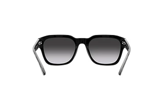 Bagside Emporio Armani EA4175 (58758G)