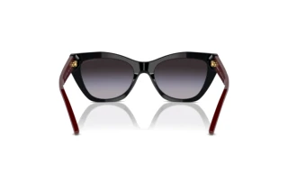 Bagside Emporio Armani EA4176 (50178G)
