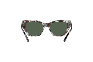 Bagside Emporio Armani EA4176 (509771)