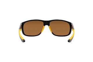 Bagside Emporio Armani EA4199U (50176H)