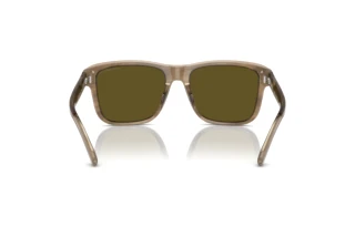 Bagside Emporio Armani EA4208 (605573)