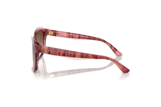 Sidevisning Emporio Armani EA4209 (605713)