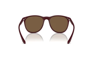 Bagside Emporio Armani EA4210 (526173)