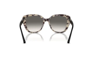 Bagside Emporio Armani EA4214U (605811)