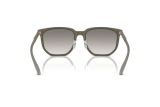 Bagside Emporio Armani EA4215D (50296I)