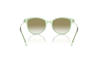 Bagside Emporio Armani EA4220 (61078E)