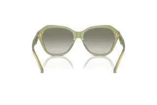 Bagside Emporio Armani EA4221 (61168E)