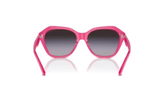 Bagside Emporio Armani EA4221 (61188G)