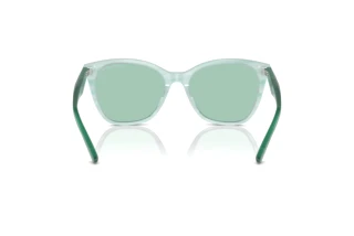 Bagside Emporio Armani EA4222U (611271)