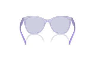 Bagside Emporio Armani EA4222U (61131A)