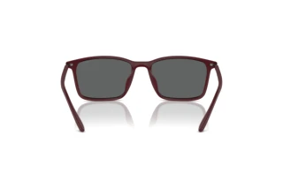 Bagside Emporio Armani EA4223U (526187)