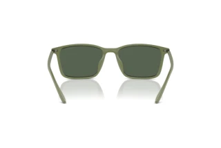 Bagside Emporio Armani EA4223U (542471)