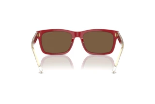 Bagside Emporio Armani EA4224 (609373)