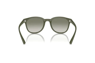 Bagside Emporio Armani EA4225U (60998E)