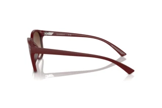 Sidevisning Emporio Armani EA4225U (610113)