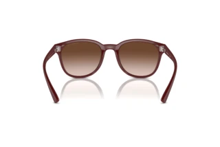 Bagside Emporio Armani EA4225U (610113)