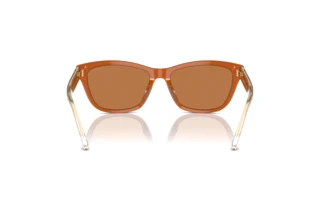 Bagside Emporio Armani EA4227U (609773)