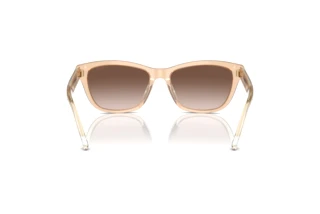 Bagside Emporio Armani EA4227U (609813)