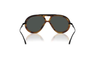 Bagside Emporio Armani EA4242U (621287)