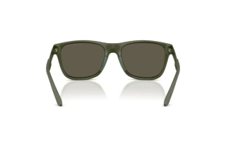 Bagside Emporio Armani EA4243 (618471)