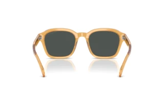 Bagside Emporio Armani EA4245U (624687)