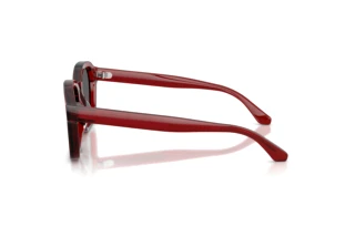 Sidevisning Emporio Armani EA4245U (624887)