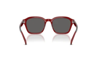 Bagside Emporio Armani EA4245U (624887)