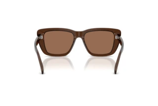 Bagside Emporio Armani EA4246U (625173)