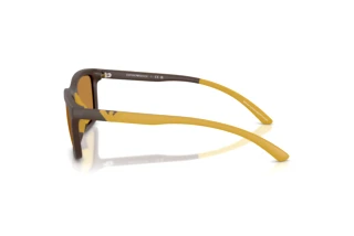 Sidevisning Emporio Armani EA4249U (625893)