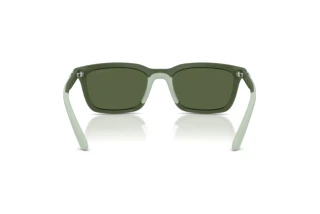 Bagside Emporio Armani EA4249U (625971)