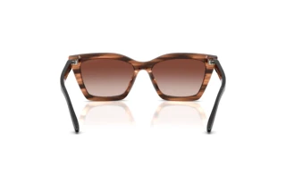 Bagside Emporio Armani EA4250U (626613)