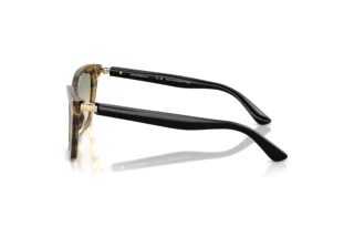 Sidevisning Emporio Armani EA4250U (62672C)
