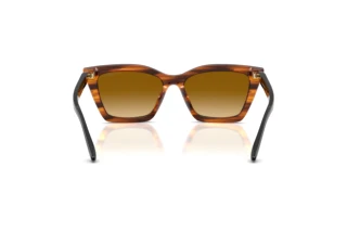 Bagside Emporio Armani EA4250U (62682L)