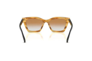 Bagside Emporio Armani EA4250U (62692Q)