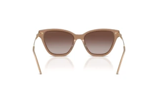 Bagside Emporio Armani EA4251 (626313)