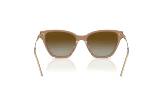 Bagside Emporio Armani EA4251 (6263T5)